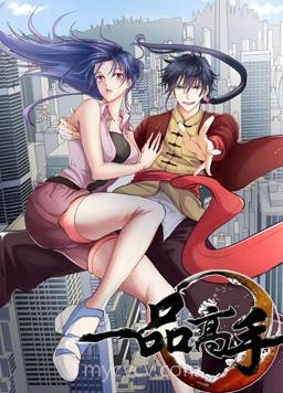 一品高手